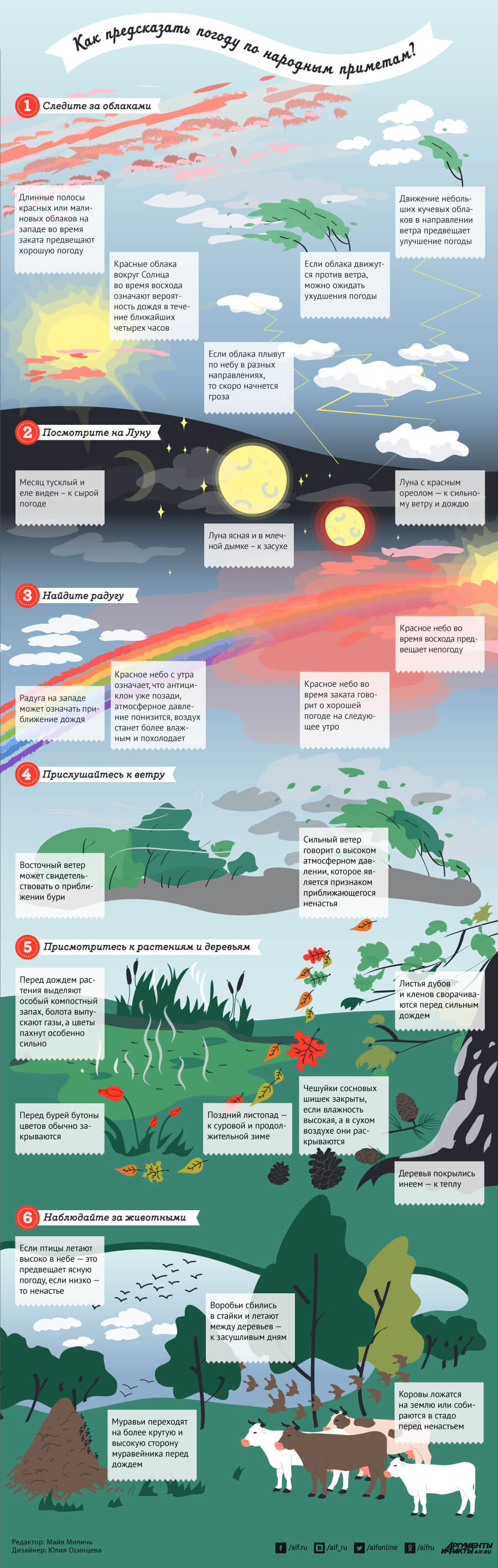 Инфографика - предсказание погоды по народным приметам